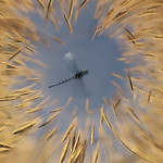 Welcome to slow air.