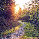 Sunrise Path
