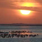 Amanecer en El Cuyo, Yucat&aacute;n 071126_07