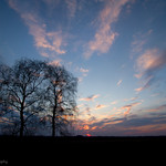 Great opportunities to help others seldom come, but small ones surround us every day. ~Sally Koch