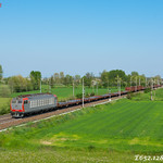 Finalmente anche qui...