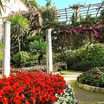 Ravello , Villa Rufolo I Giardini