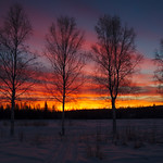 Sunrise from the Musher's Hall