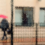 trying to see the sunlight