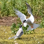 Bye love I'm off to work x