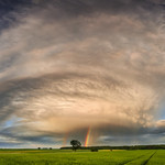 Dancing in the sunshine