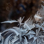 One week later, still here