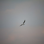 The beauty of flying