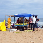 India - Tamil Nadu - Chennai - Beach - 13