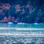 Living by the sea 在水一方