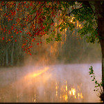 This morning on Mill Creek