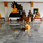 ,, Buddha, Mama & Mr B ,,