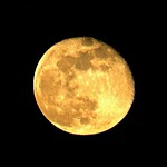 An April Yellow Moon ...