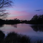 A Magical Little Place