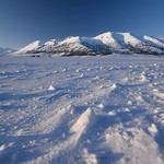 Siberia? ......... no,es la Monta&ntilde;a palentina.