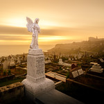 The Softness of an Angel