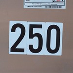 250