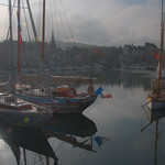 winter afternoon sun shines on yachts, reflects on water, Vieux Bassin (Old Port) Honfleur, Normandy, France
