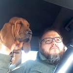 #bloodhound
