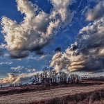 IMG_0593-94Ptzl1scTBbLG2