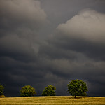 before the storm - 2