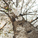 golden hour light peaking through