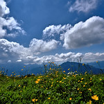 Beautiful Tyrol! Wundersch&ouml;nes Tirol!