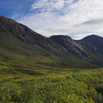 Day 8: Green summer in Greenland