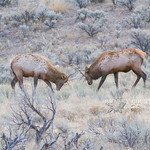 Emulating the Big Boys 11