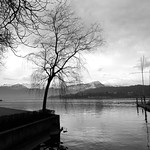 At the Lake of Lucerne