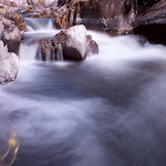 Cenarth Falls. Pembrokeshire.