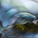 El deshielo en las monta&ntilde;as - Debajo de la nieve- Camino del Pozo Butrero - Alto Esla Le&oacute;n