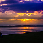 Walk The Dog Till Sunset