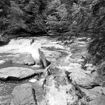 Swallow Falls SP ~ Lower Falls - HSS!