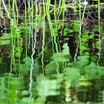 Paddling down the river