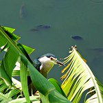 你看哪條好~~呵~(⊜‿⊜✴）?!