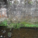 ⛪ Under Old Bridge Ruins @ Fountains Abbey,North Yorkshire,england,UK