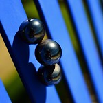 FlickrFriday Submission #Threeofakind.