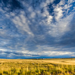 Wyoming Landscapes