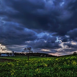 IMG_1984-85Ptzl1scTBbLG