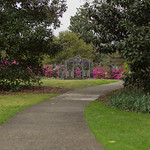 Airlie Gardens Azalea 2018 Festival Prep