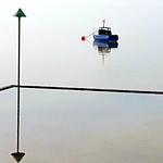 I just want some peace. I can't do the dramas anymore.