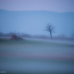 Grimm Landscape at Dusk