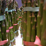 Asparagus