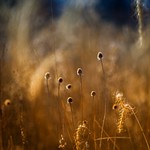 Ten Minutes To Midnight.