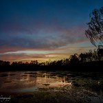 Tonight&rsquo;s Sunset