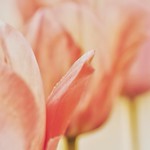 No importa lo buena persona que seas. Todos somos el malo en la historia de alguien. As&iacute; que disfruta tu rol y s&eacute; un malo memorable.