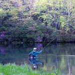 morning: Lake Yunoko, Japan 奥日光 湯の湖