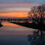 Last moment of sunset