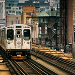 No Roar Mr. Nice Guy